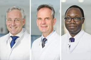 Hoffmann, Peitz, Lawong