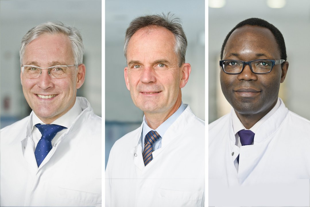 Hoffmann, Peitz, Lawong