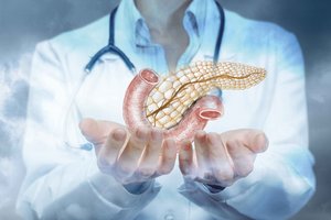 Dieses Bild zeigt die Zeichnung einer Bauchspeicheldrüse.