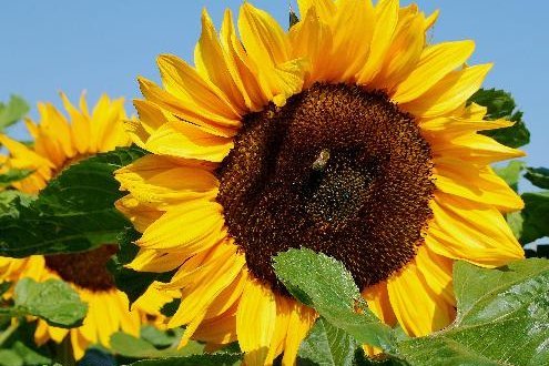Sommerfest in der KBW
