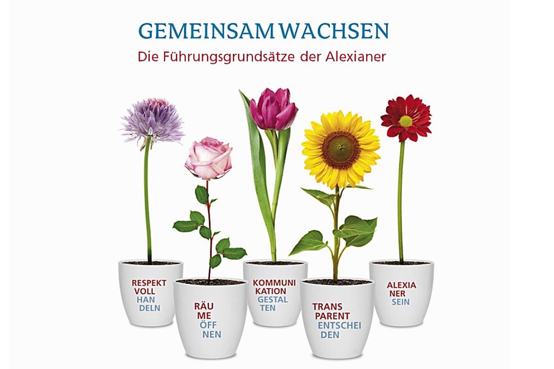 Gemeinsam wachsen - Alexianer Führungsgrundsätze  ©Alexianer